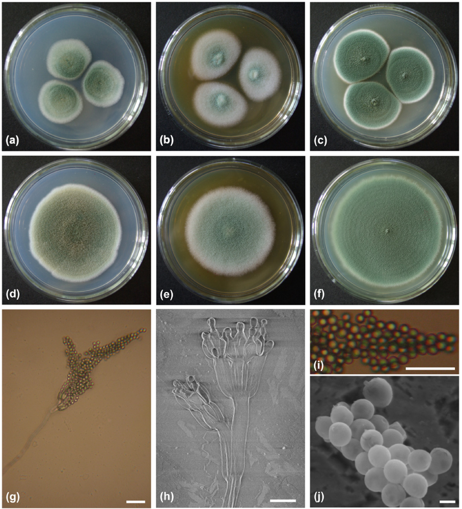 Marinedrugs 10 00106 g001 1024