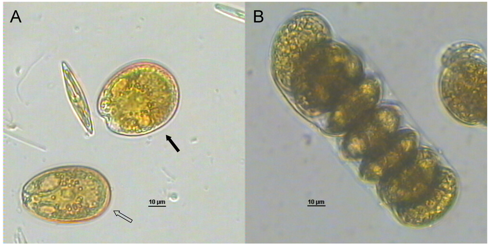 Marinedrugs 10 00140 g002 1024