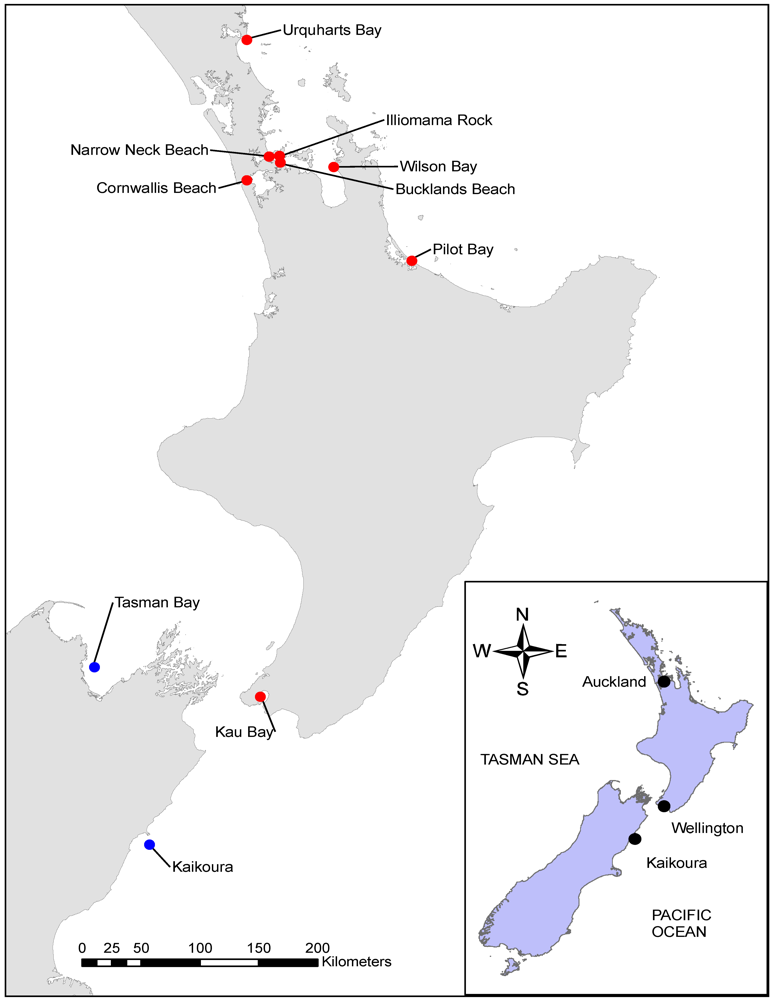 Marinedrugs 10 00163 g001 1024