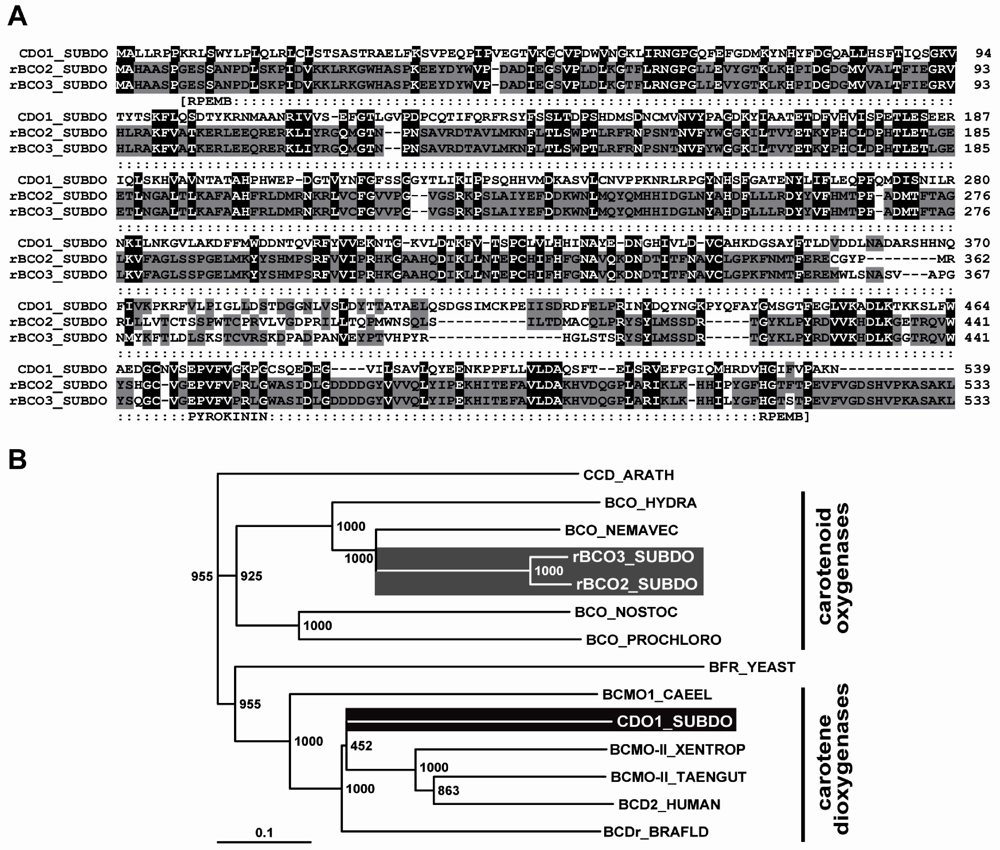 Marinedrugs 10 00177 g006 1024