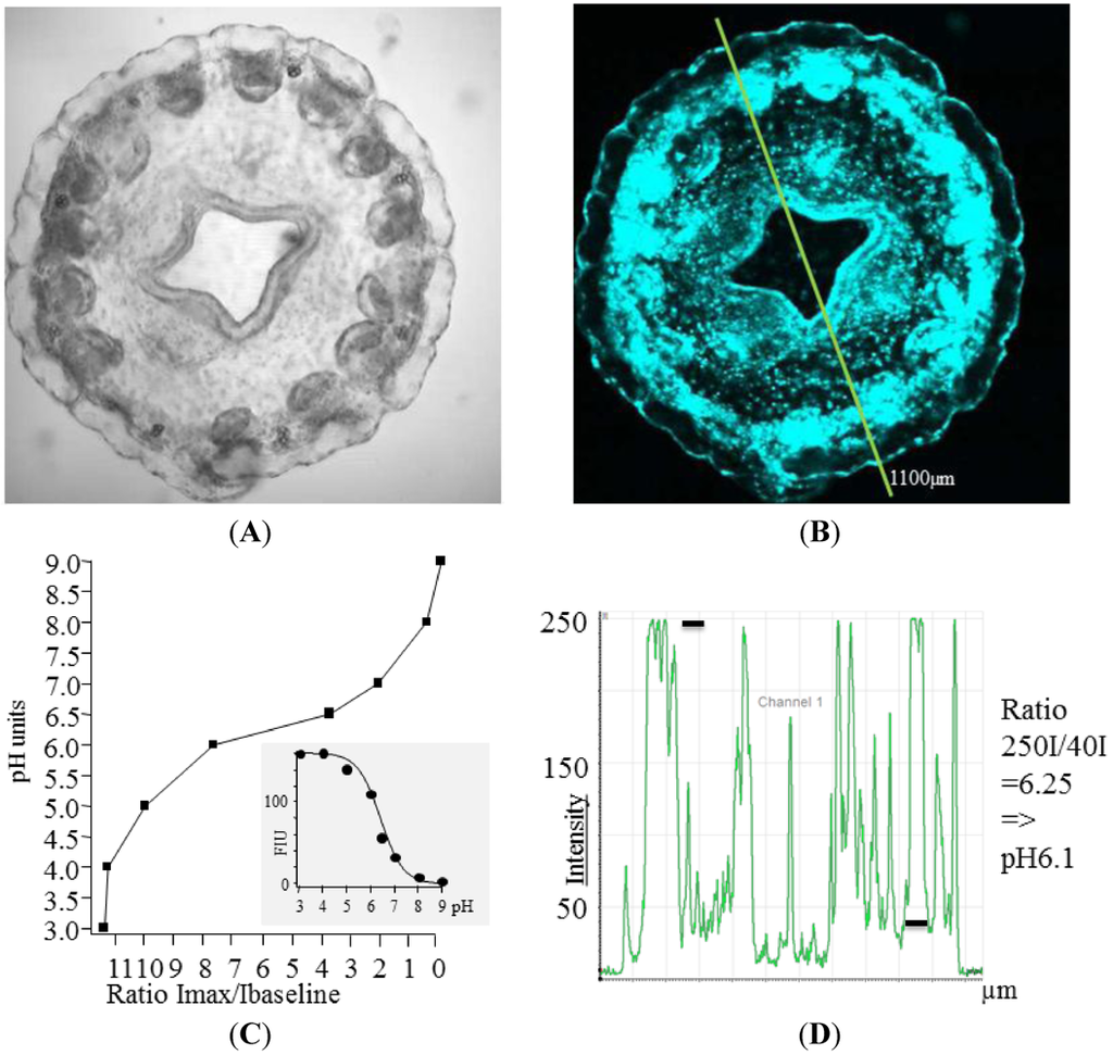 Marinedrugs 10 00223 g001 1024