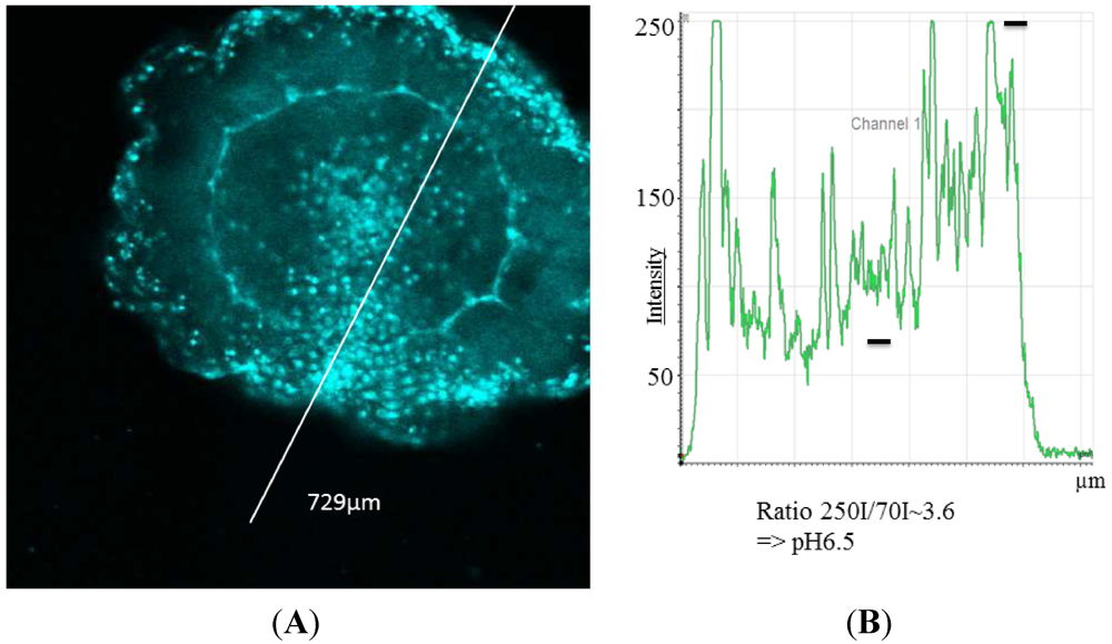 Marinedrugs 10 00223 g002 1024