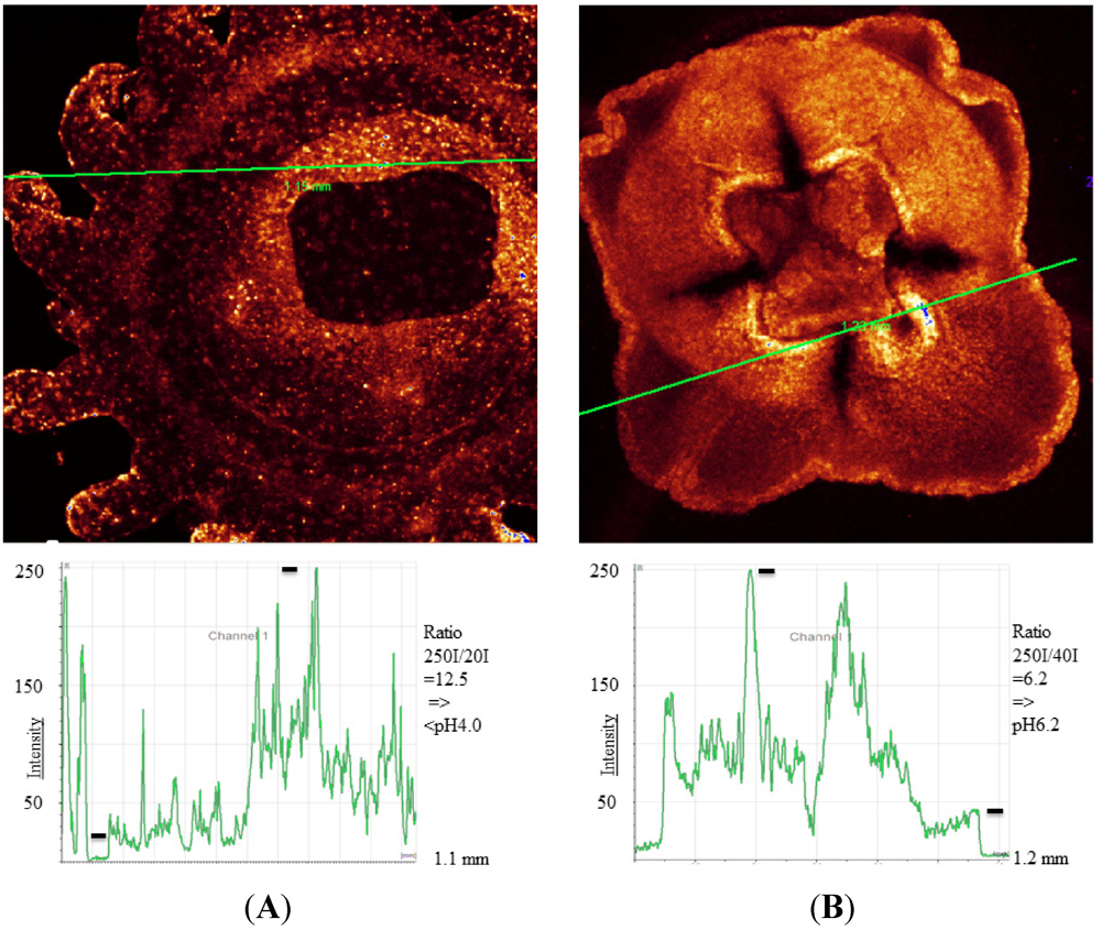 Marinedrugs 10 00223 g003 1024