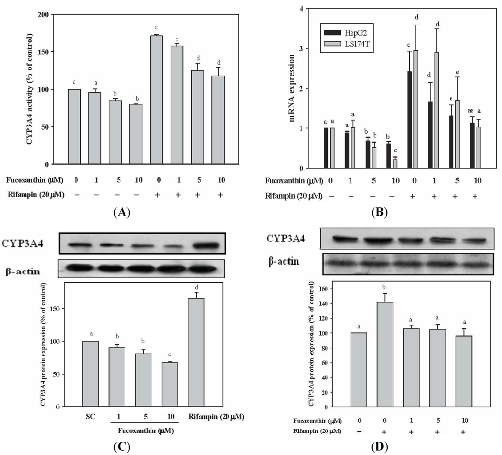Marinedrugs 10 00242 g001 1024