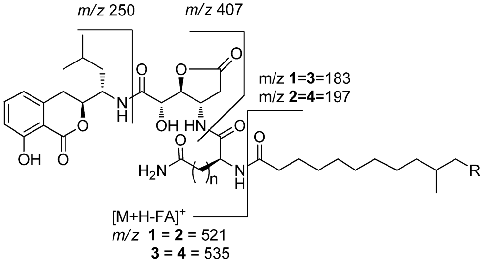 Marinedrugs 10 00319 g003 1024
