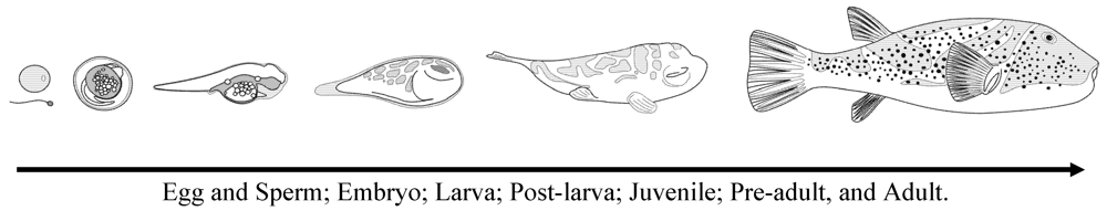 Marinedrugs 10 00329 g002 1024