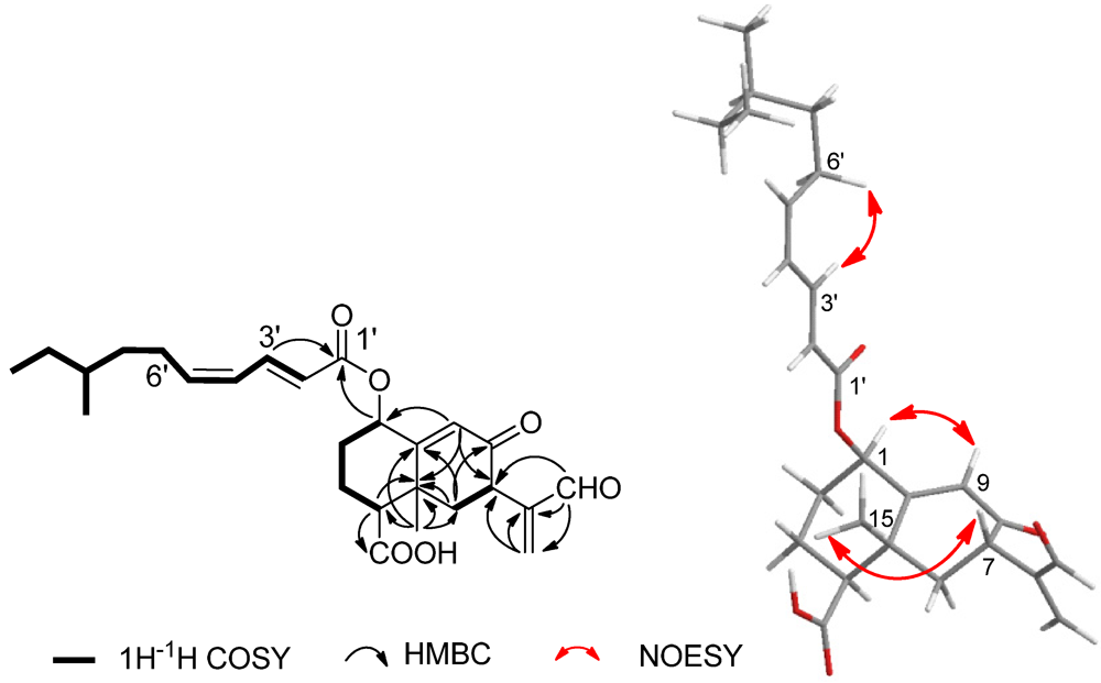 Marinedrugs 10 00340 g001 1024