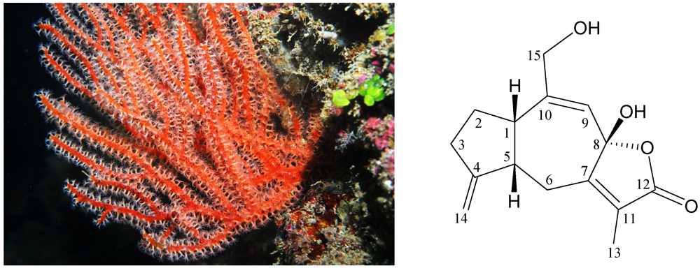 Marinedrugs 10 00427 g001