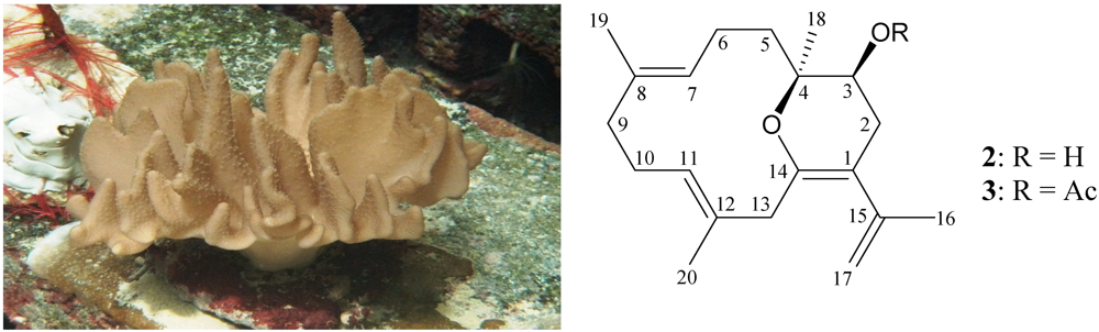 Marinedrugs 10 00427 g004 1024