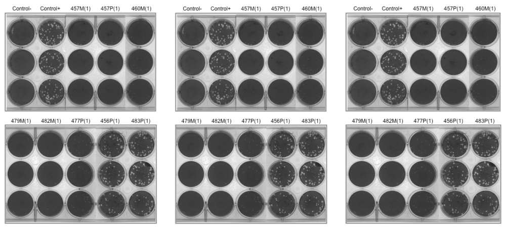 Marinedrugs 10 00521 g002 1024