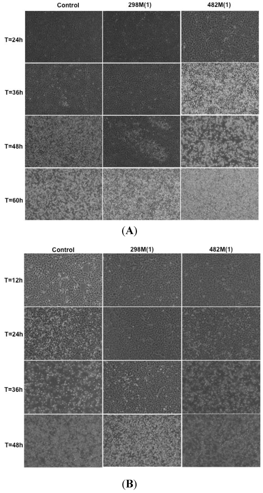 Marinedrugs 10 00521 g003