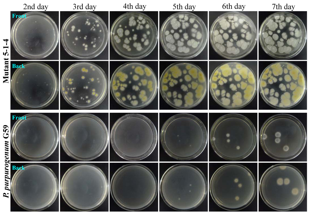 Marinedrugs 10 00559 g002