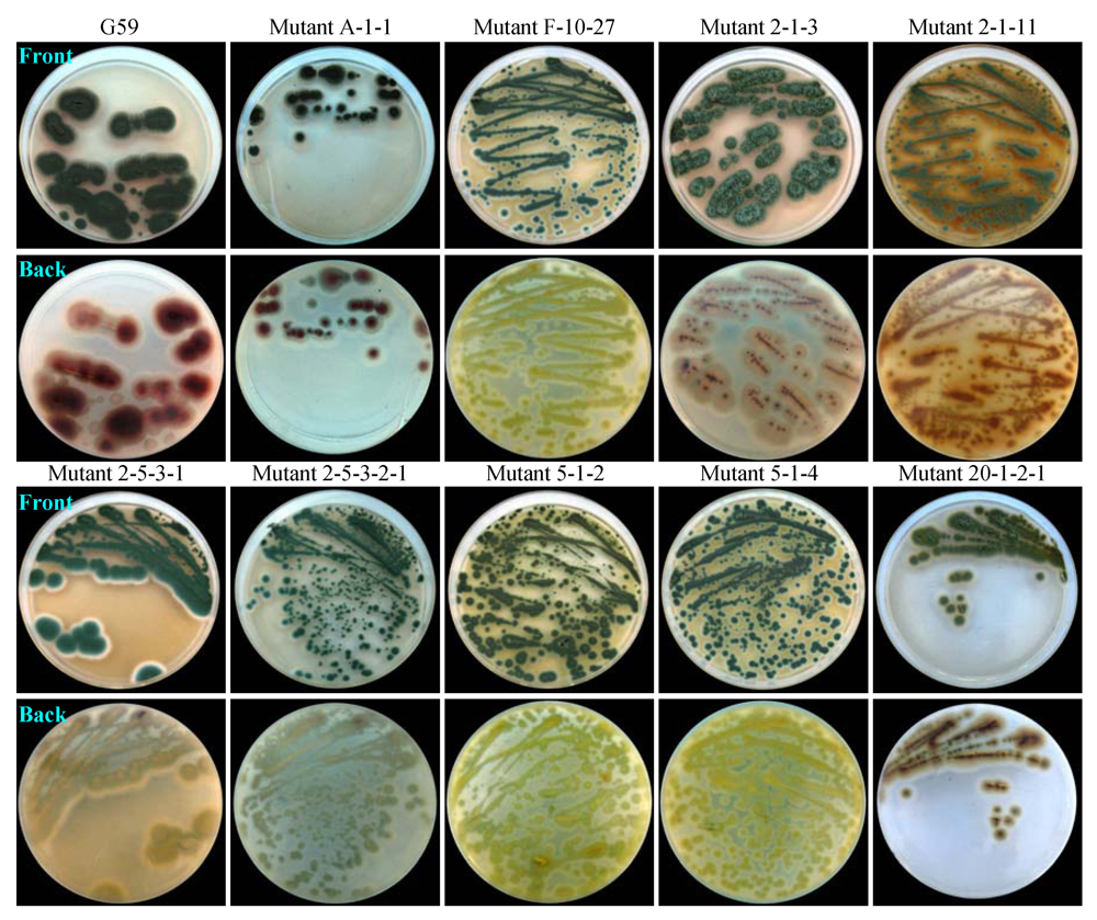 Marinedrugs 10 00559 g003