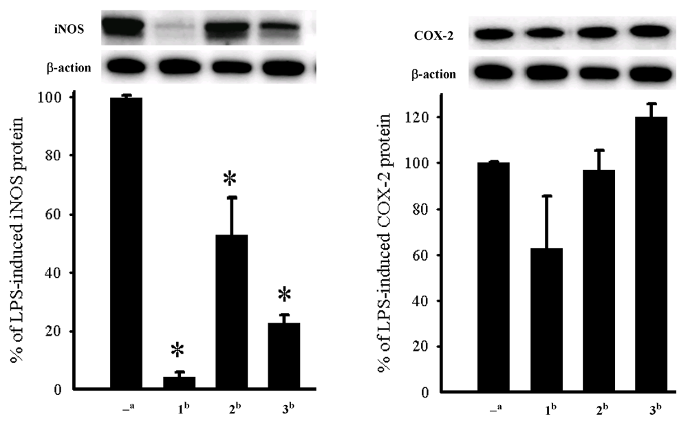 Marinedrugs 10 00617 g006 1024