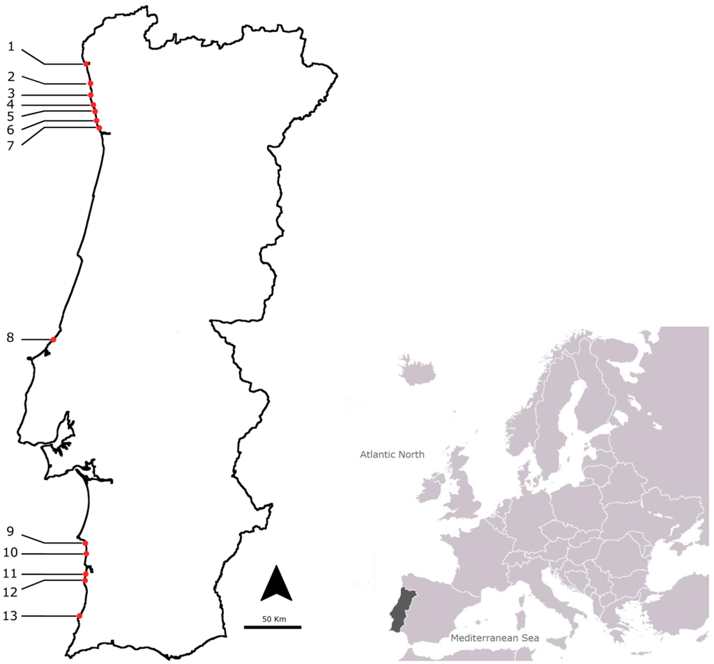 Marinedrugs 10 00712 g001 1024