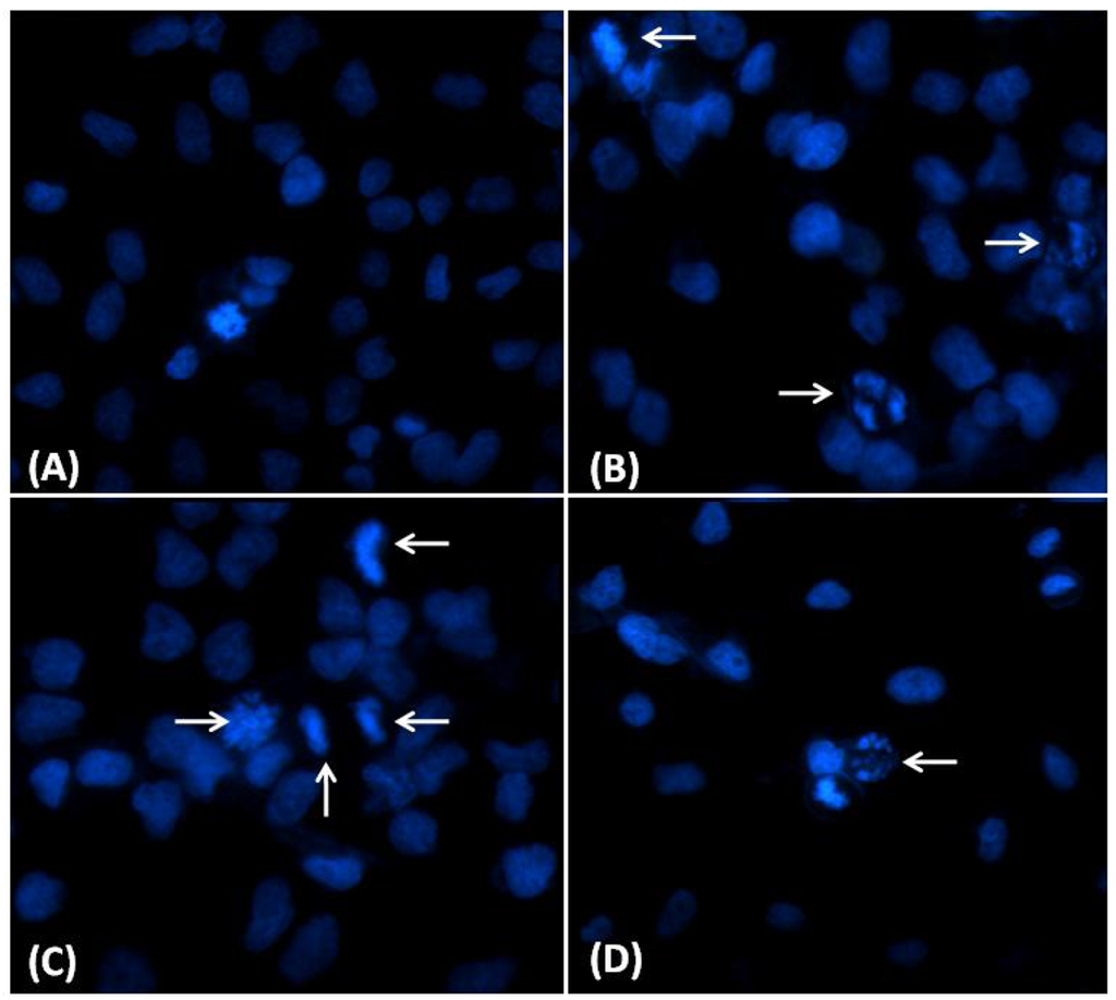 Marinedrugs 10 00727 g005 1024