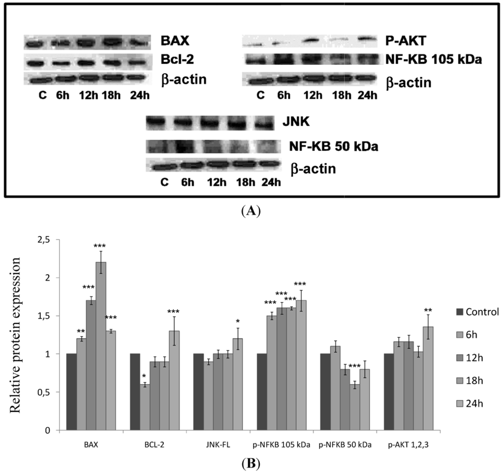 Marinedrugs 10 00727 g008 1024