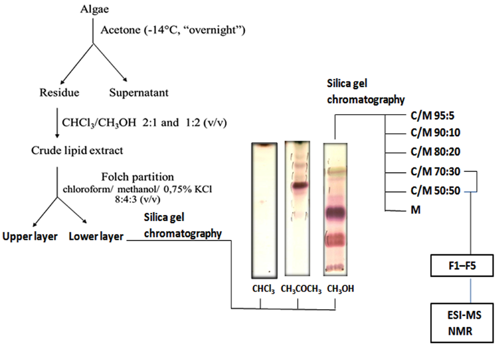 Marinedrugs 10 00918 g001 1024