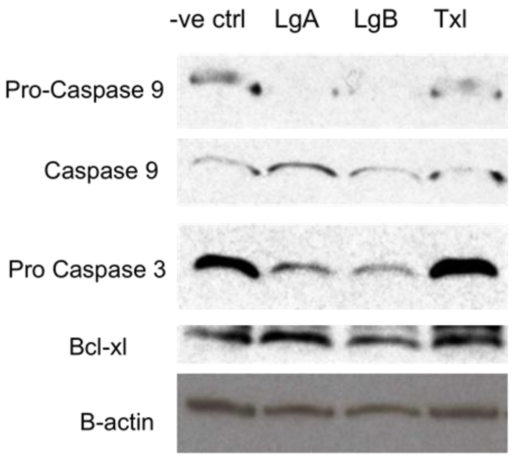 Marinedrugs 10 01126 g005 1024