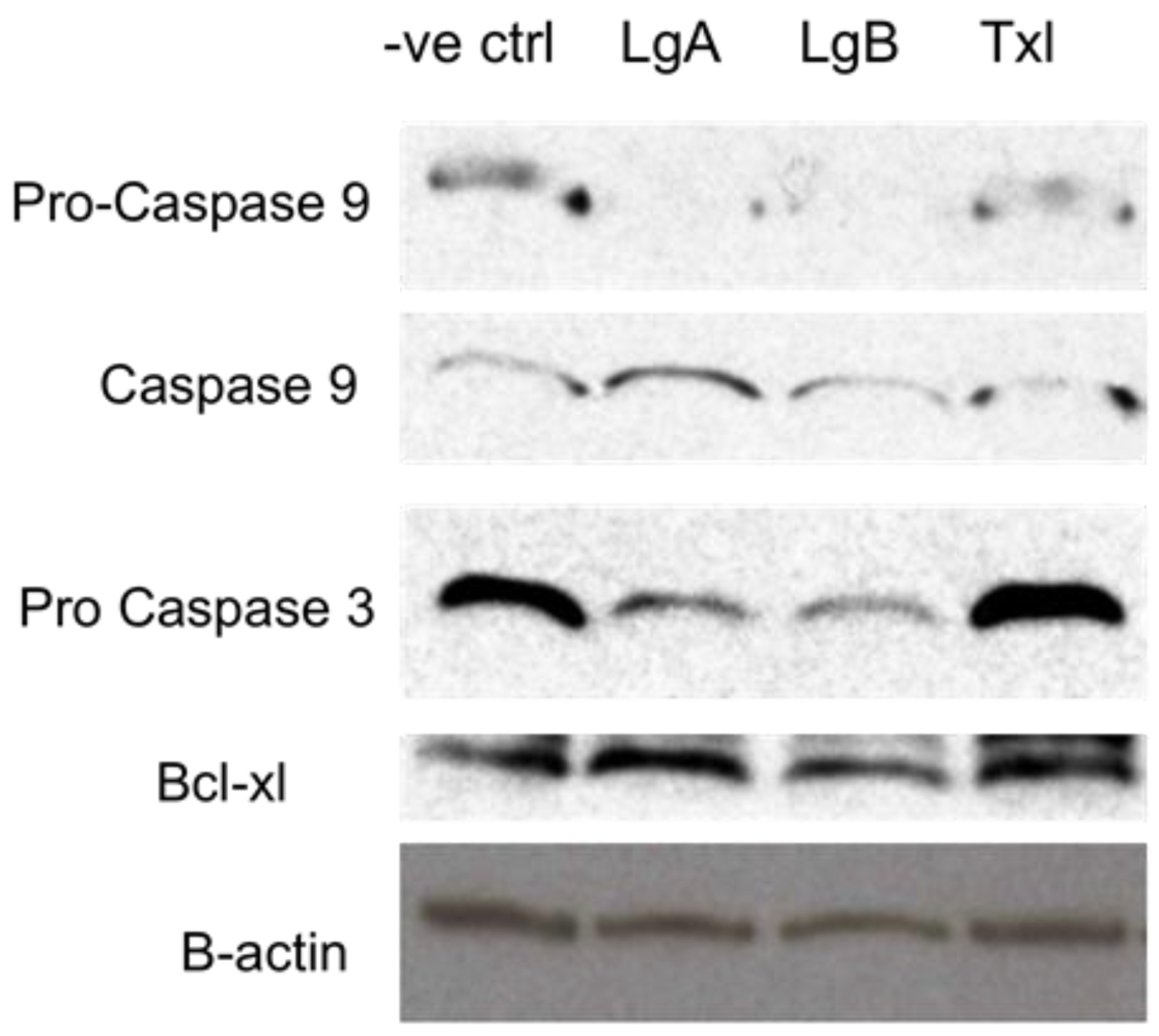 Marinedrugs 10 01126 g005