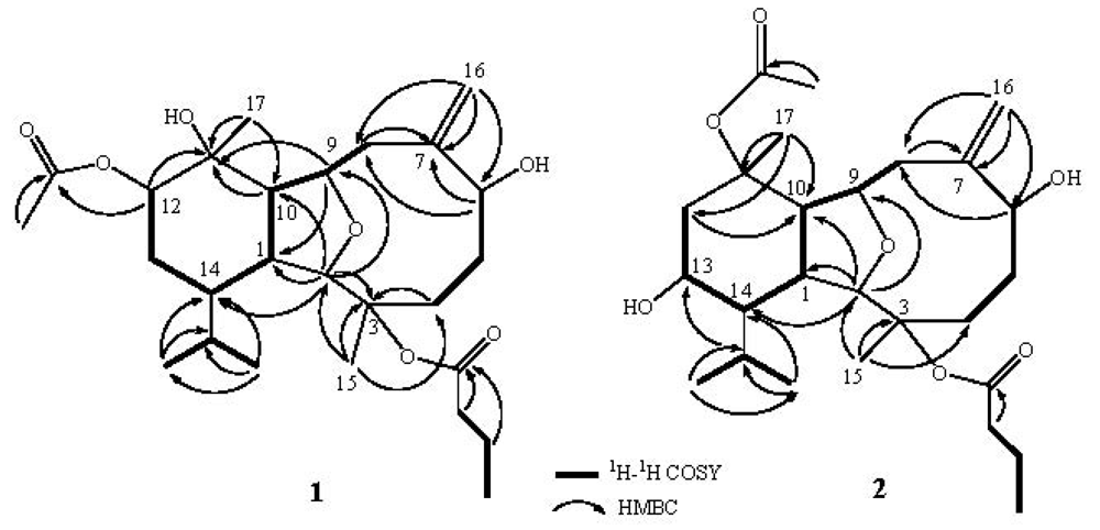 Marinedrugs 10 01203 g002 1024