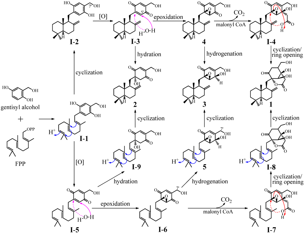 Marinedrugs 10 01266 g006 1024