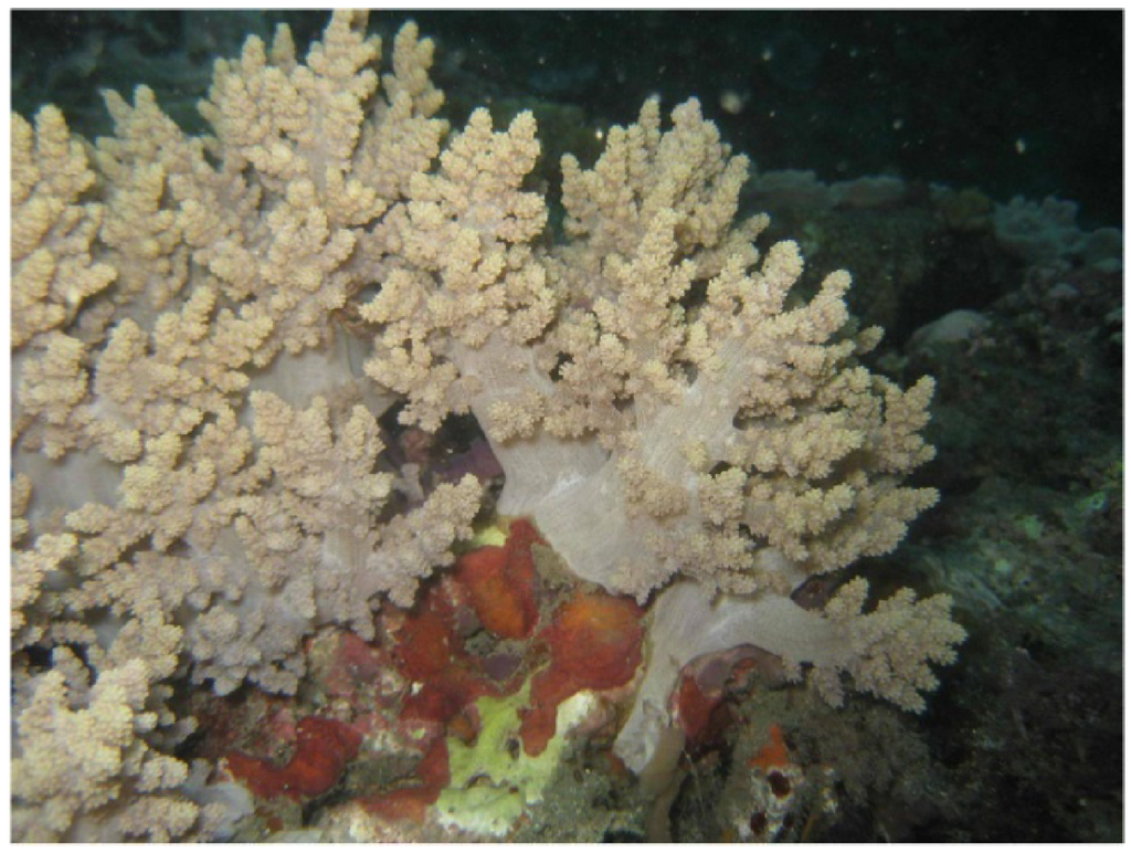 Marinedrugs 10 01288 g001 1024