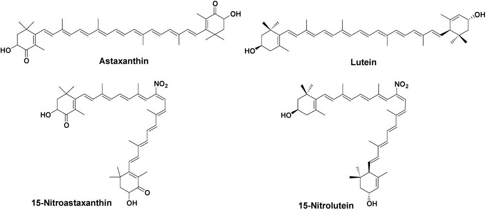 Marinedrugs 10 01391 g001 1024
