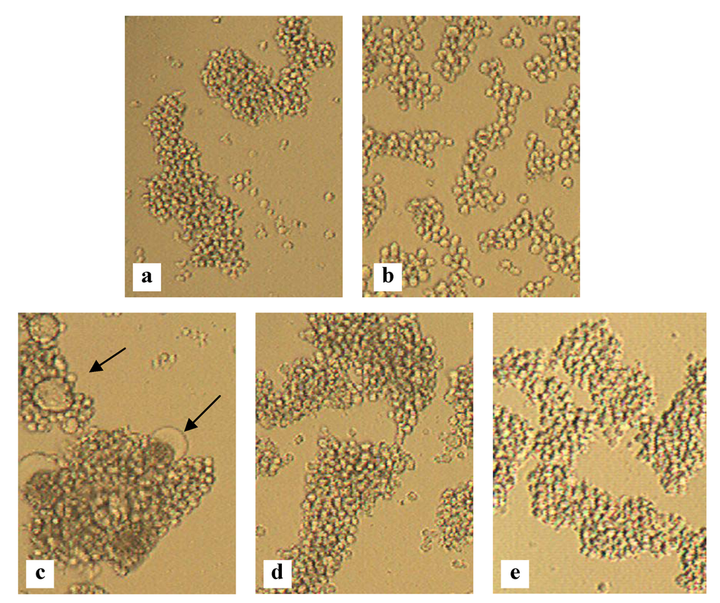 Marinedrugs 10 01476 g004 1024