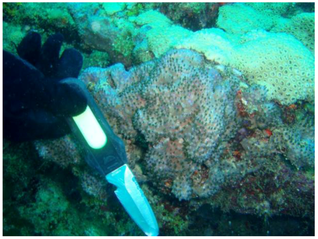 Marinedrugs 10 01662 g004 1024