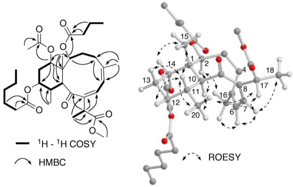 Marinedrugs 10 01662 g005 1024