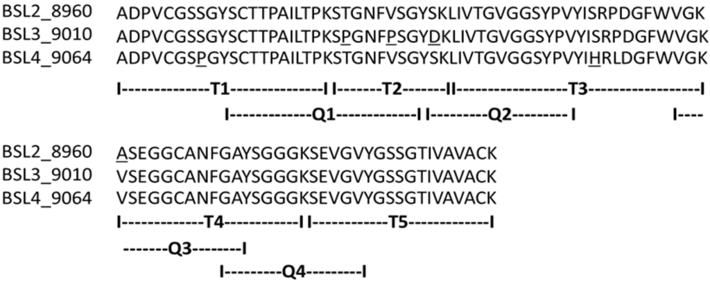 Marinedrugs 10 01936 g004 1024