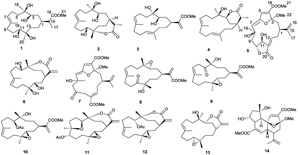 Marinedrugs 10 02023 g001 1024