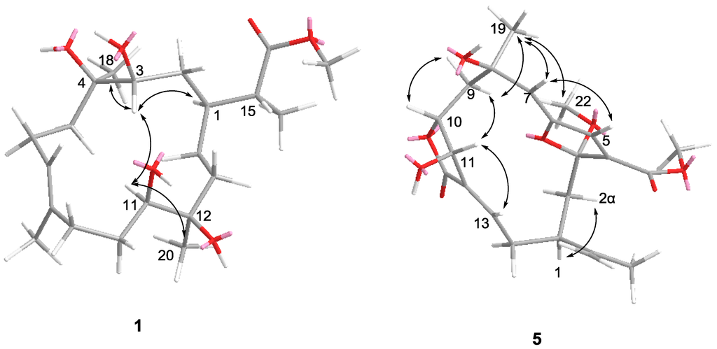 Marinedrugs 10 02023 g003 1024