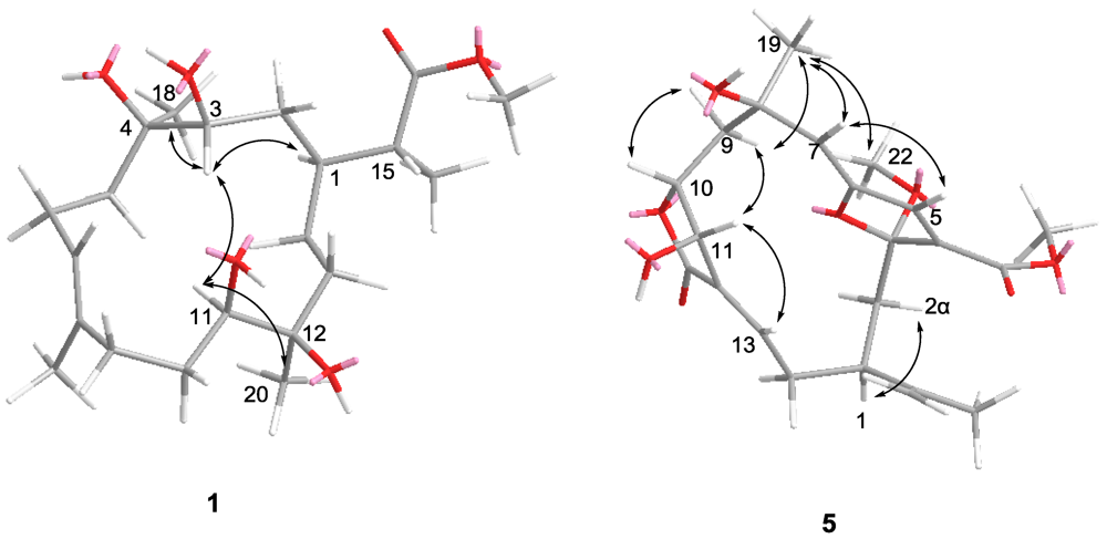 Marinedrugs 10 02023 g003