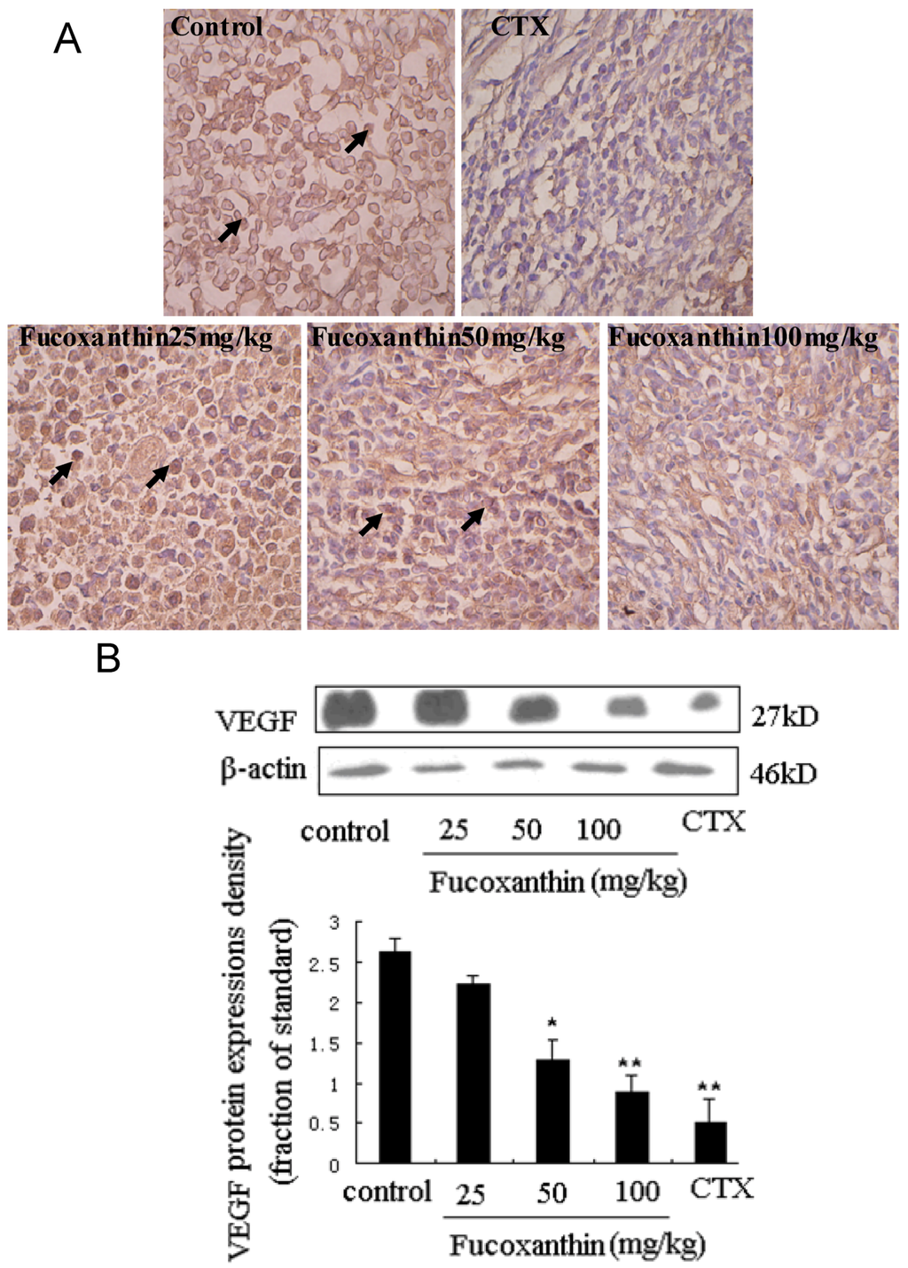 Marinedrugs 10 02055 g004 1024