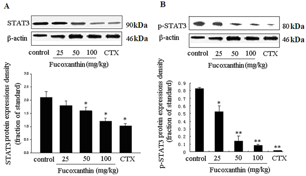 Marinedrugs 10 02055 g005 1024