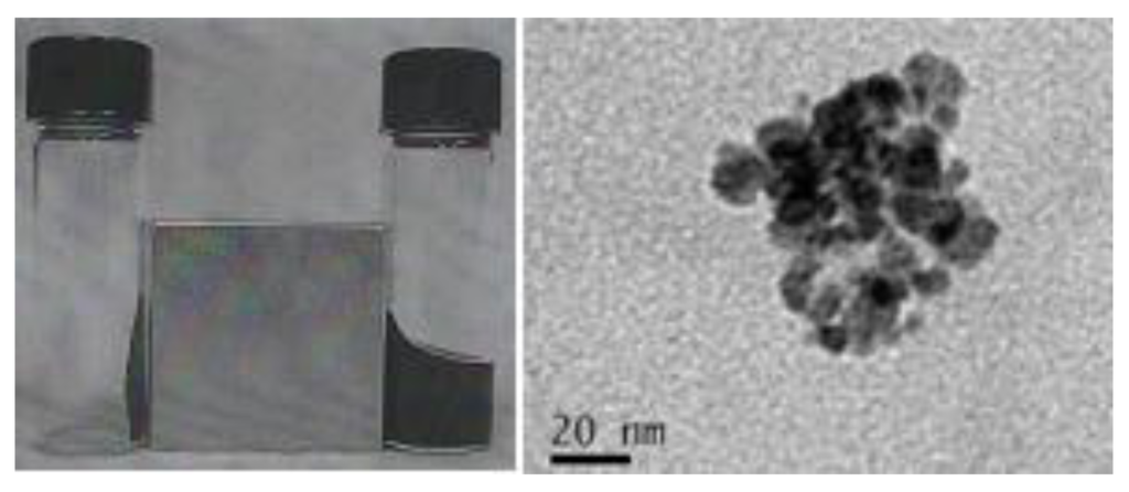 Marinedrugs 10 02403 g002 1024