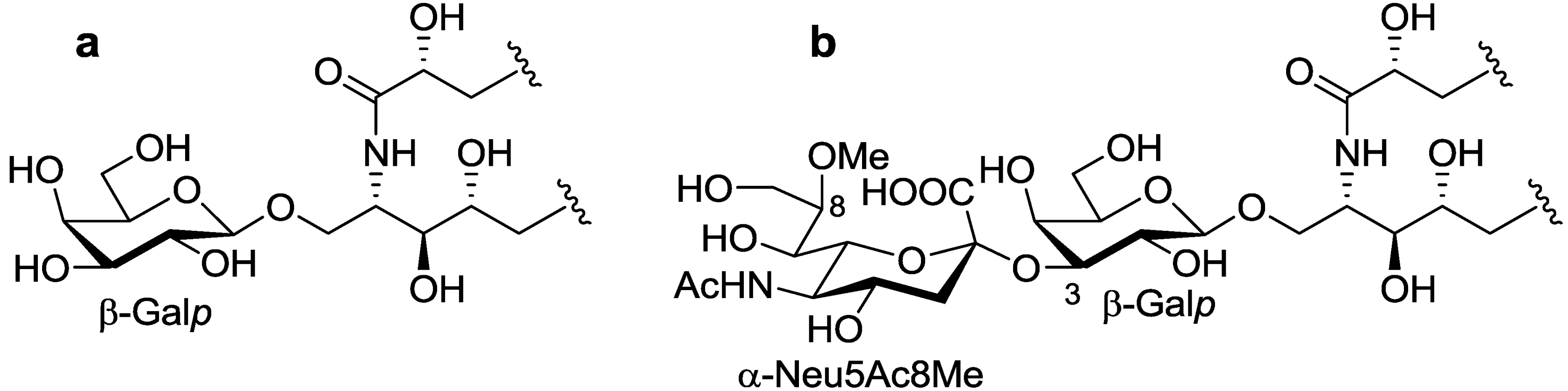 Marinedrugs 10 02467 g003