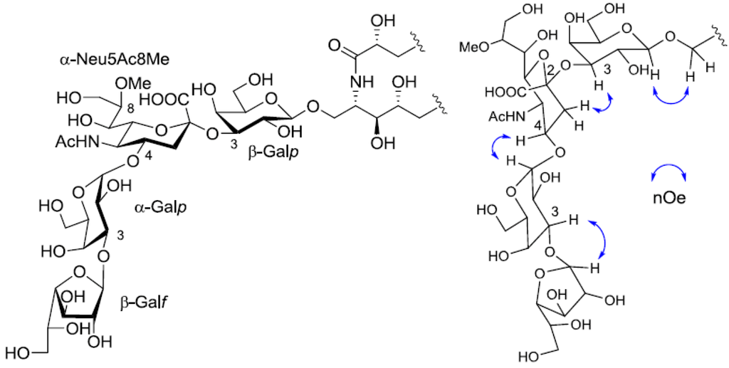Marinedrugs 10 02467 g005 1024