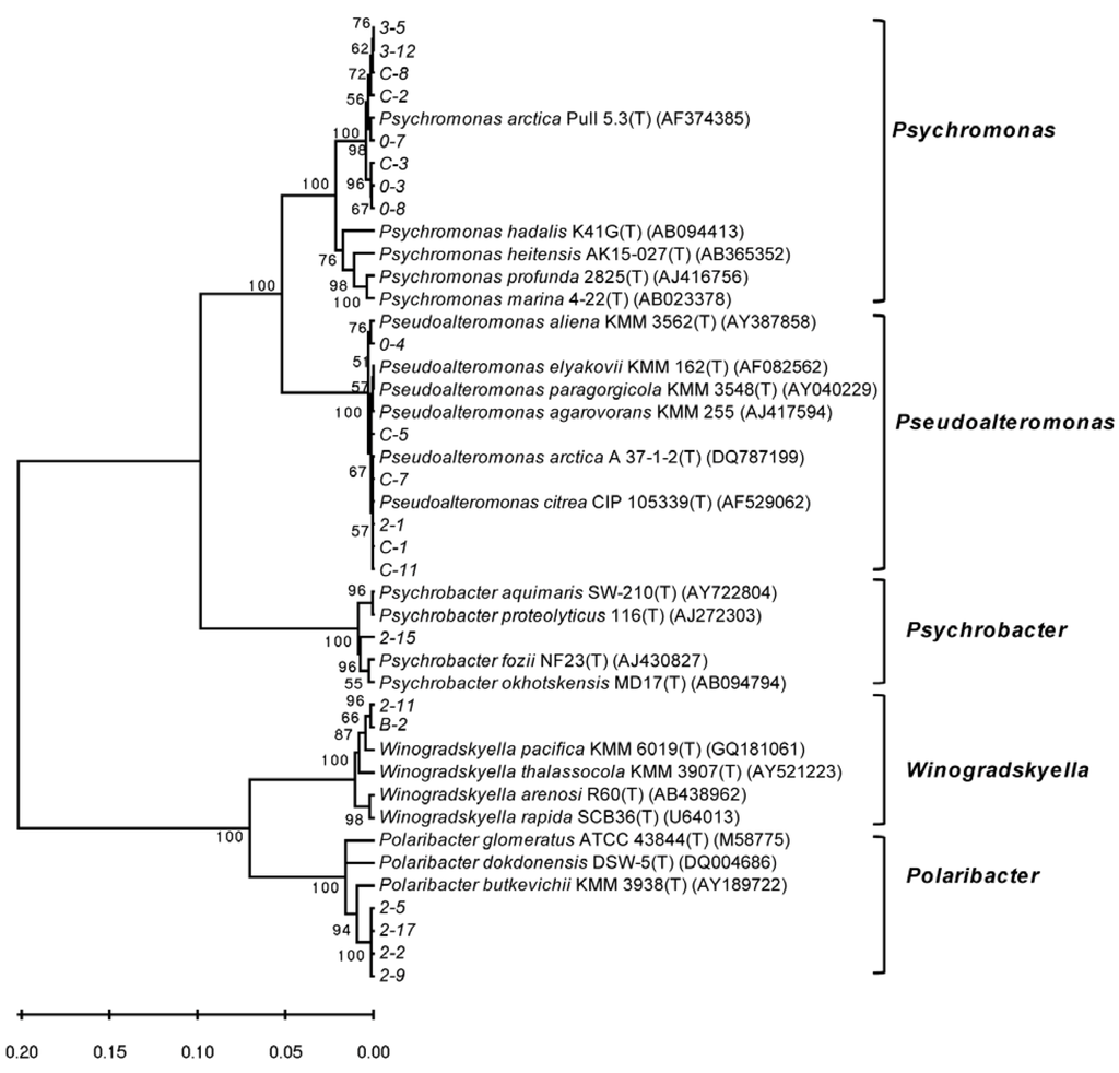 Marinedrugs 10 02481 g003 1024