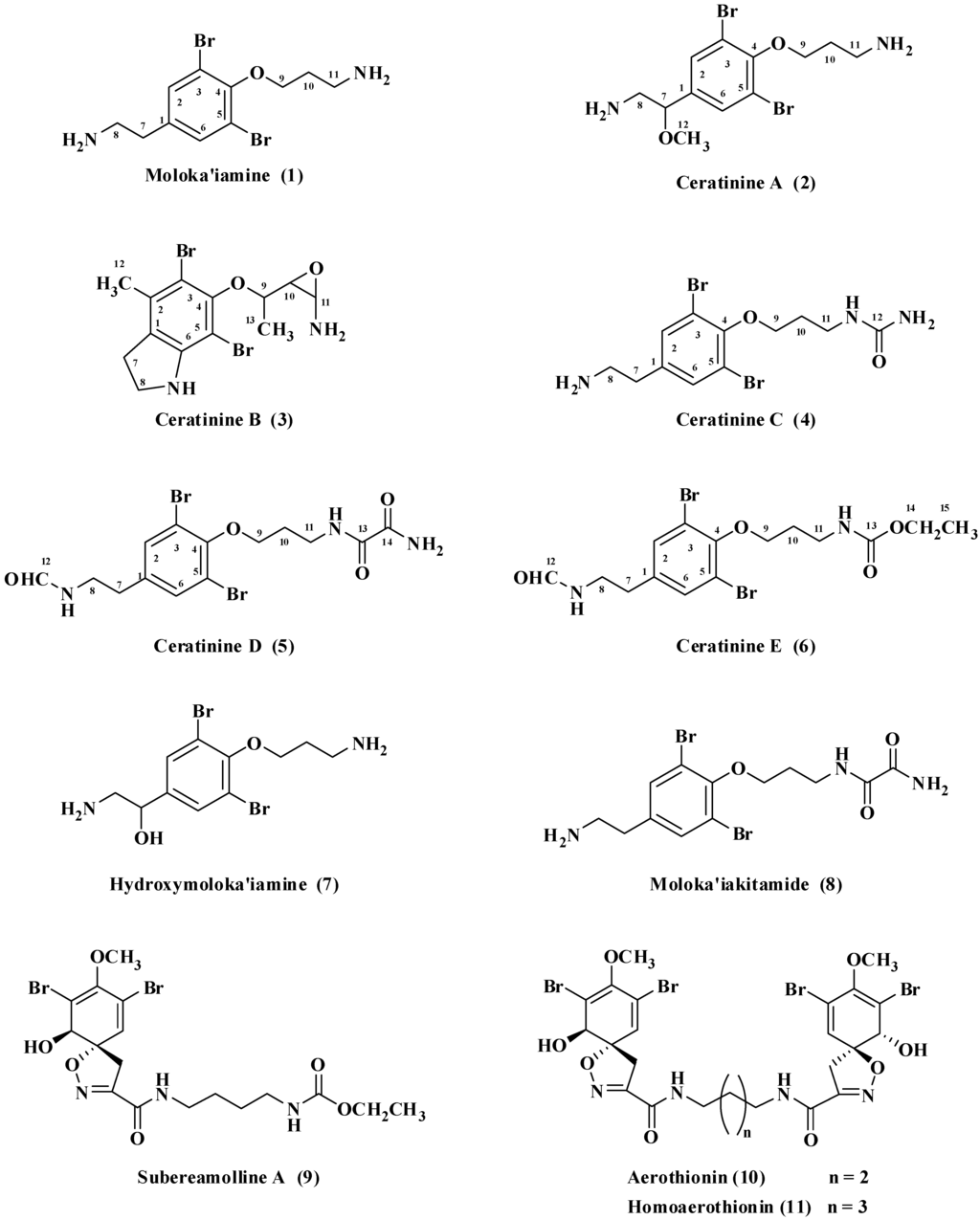 Marinedrugs 10 02492 g001 1024