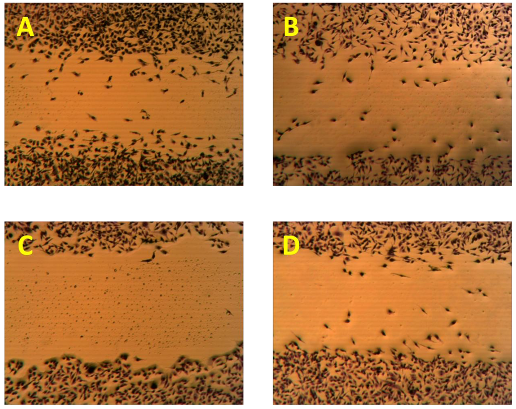 Marinedrugs 10 02492 g005 1024