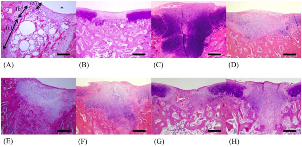 Marinedrugs 10 02560 g002 1024