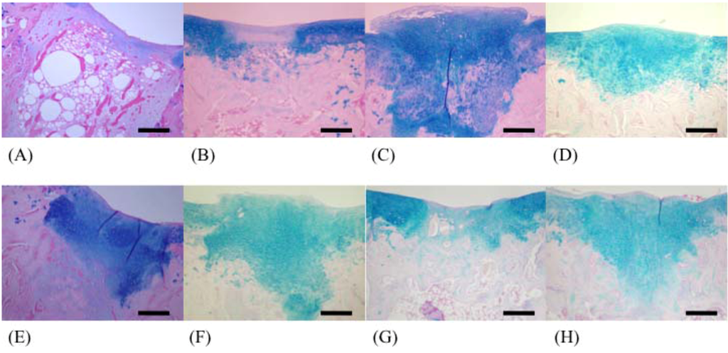 Marinedrugs 10 02560 g003 1024