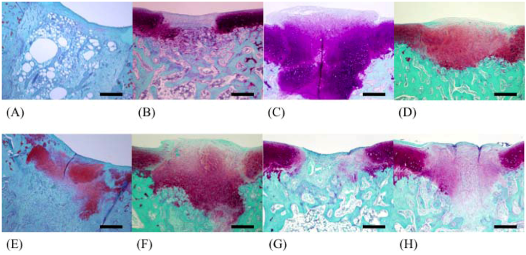 Marinedrugs 10 02560 g004 1024