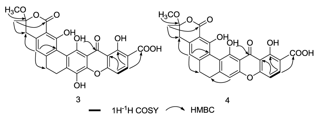Marinedrugs 10 02571 g005 1024