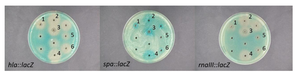 Marinedrugs 10 02584 g002 1024