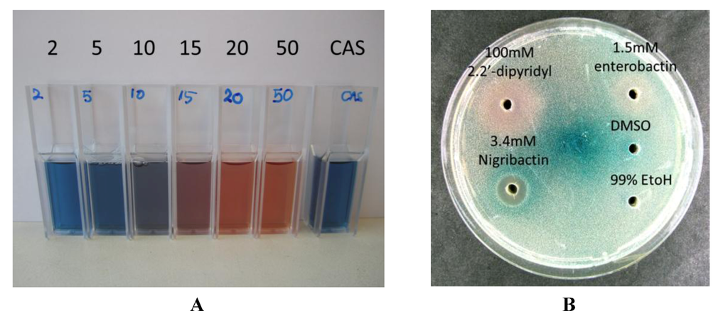 Marinedrugs 10 02584 g006 1024