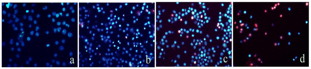 Marinedrugs 10 02596 g002 1024